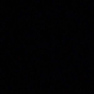 Meet your Posher, Patsy